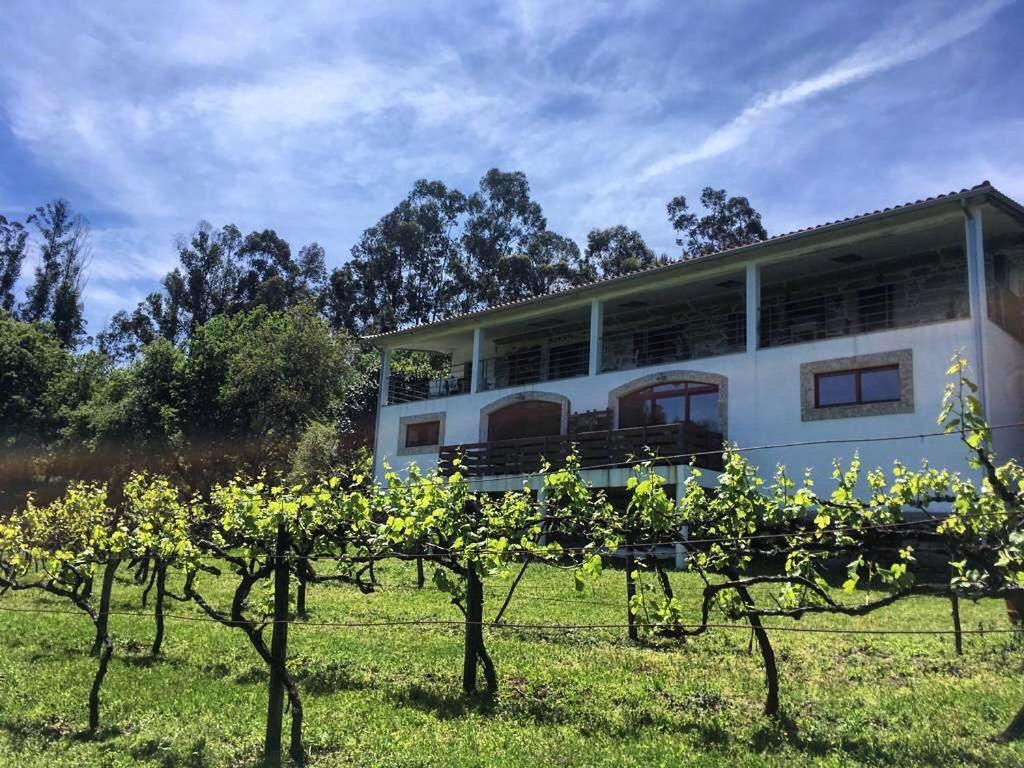 Quinta Da Quinta, Private Room Виейра до Миньо Екстериор снимка